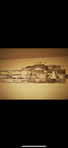 - (Handwerk, bauen, Sanierung)
