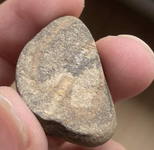 Ist das ein Fossil in einem stein?