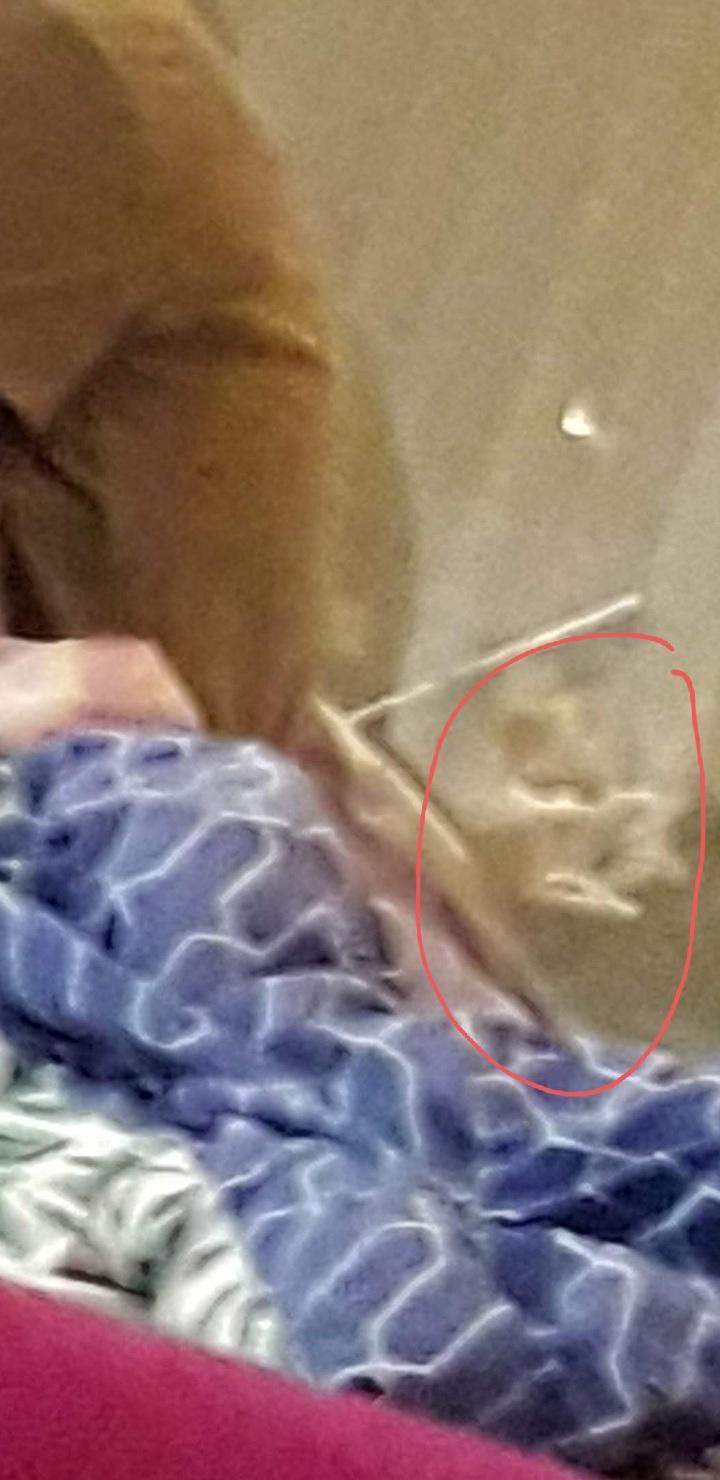 Ist das ein Geist? (Geister, paranormal, Paranormale Aktivitäten)