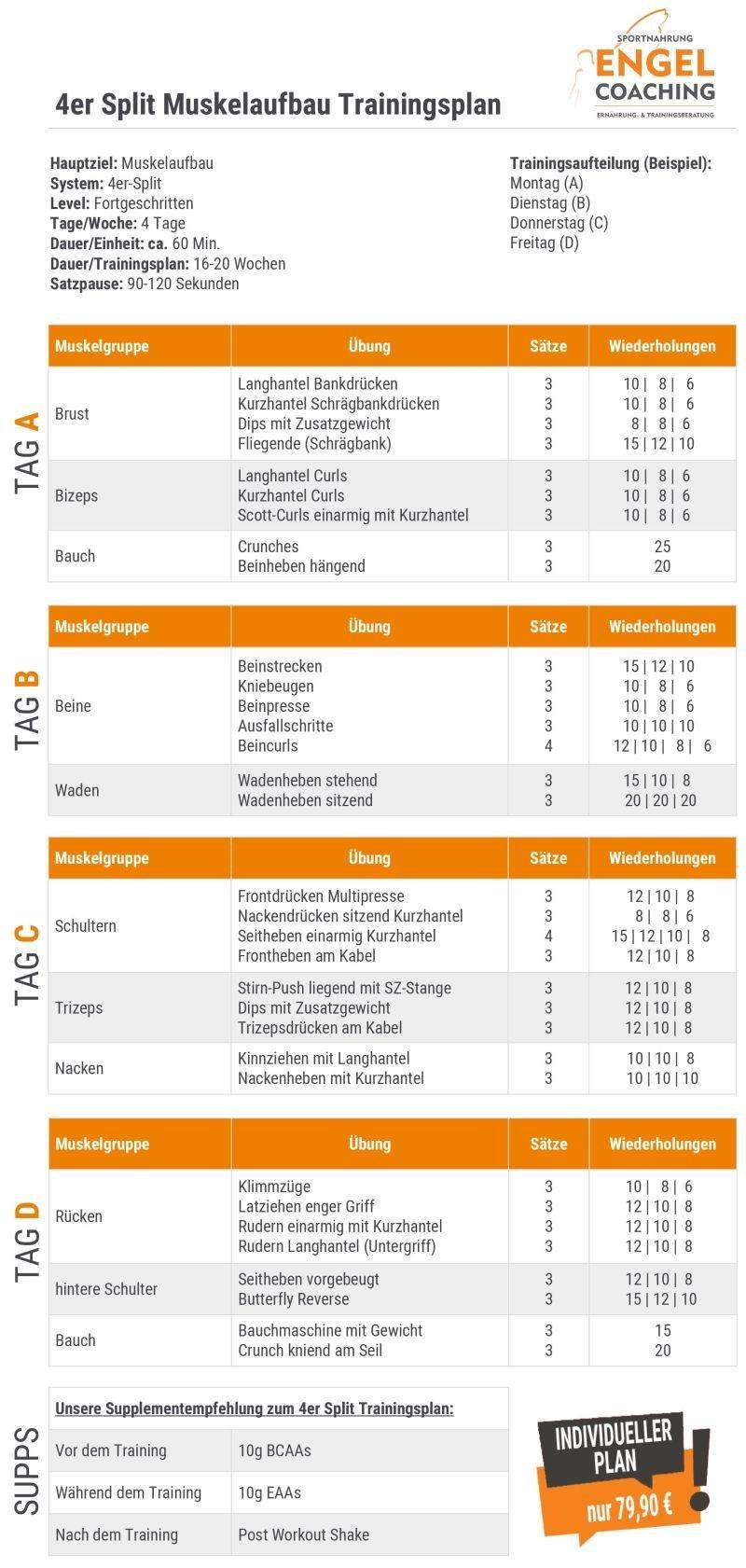 Ist das ein guter Trainingsplan? (Ernährung, Sport und Fitness, Körper)