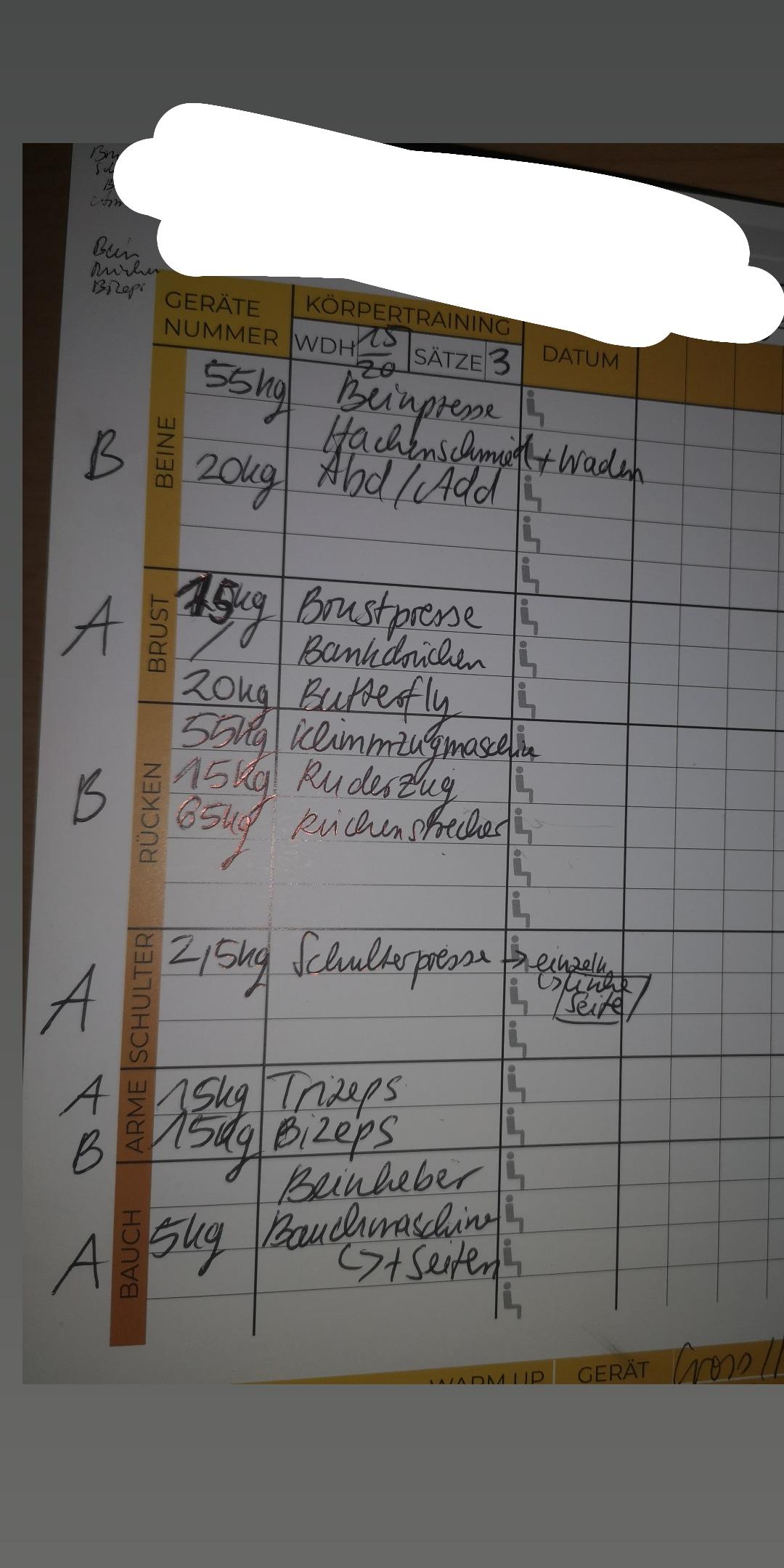 Ist Das Ein Guter Trainingsplan Fur Folgende Muskelpartien Gesundheit Sport Sport Und Fitness