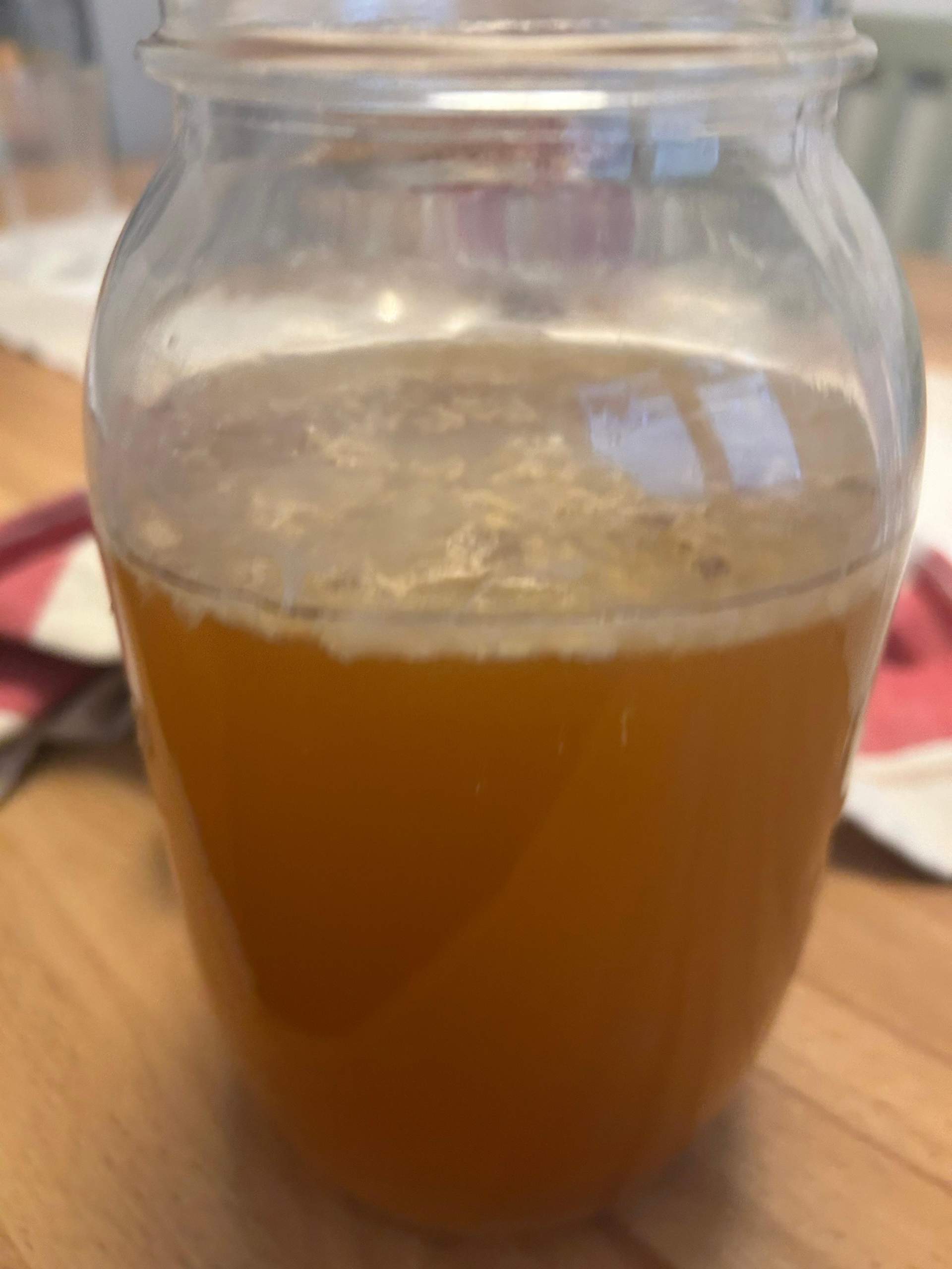 Ist Das Ein Neuer Scoby Oder Schimmel Tee Pilze Fermentation 