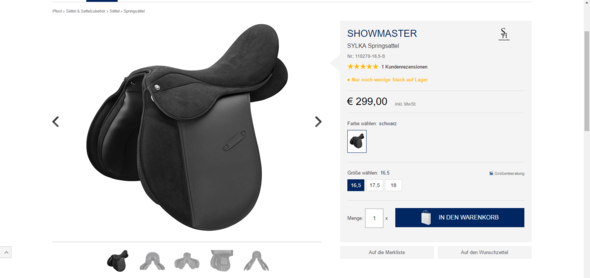 Hier ist er - (Pferde, Sattel)