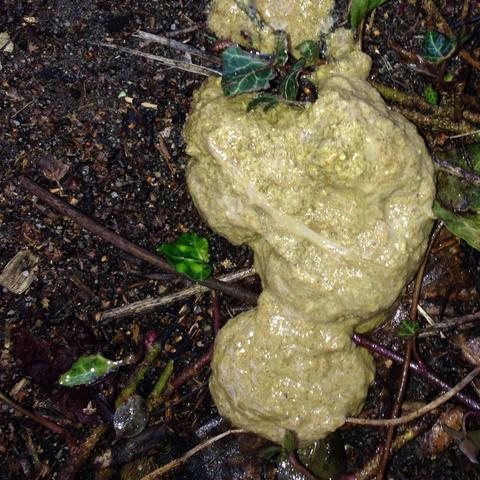 Was soll ich ihm antworten Was soll ich ihm antworten