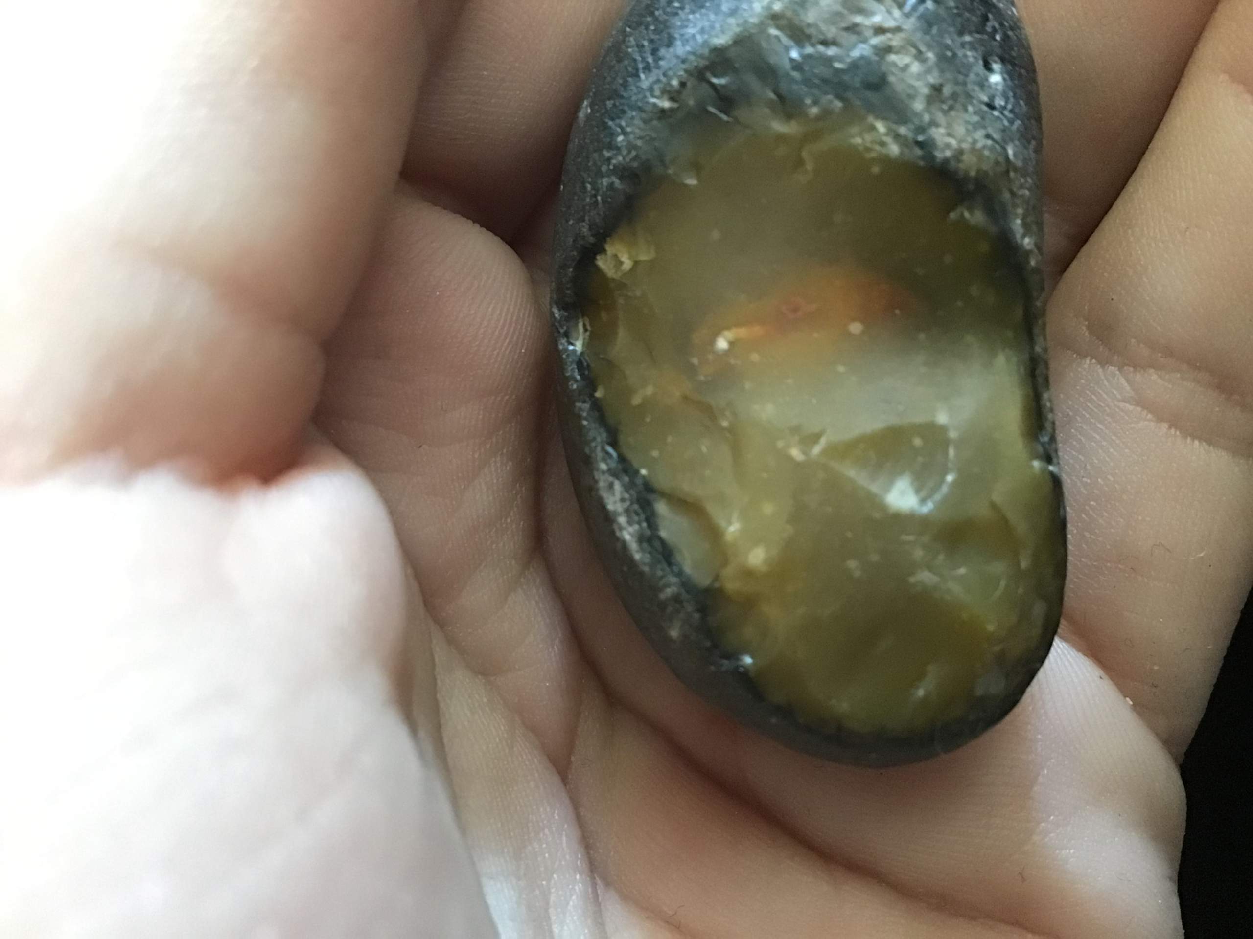 Ist das ein versteinertes Ei? (Computer, Eier, Steine)