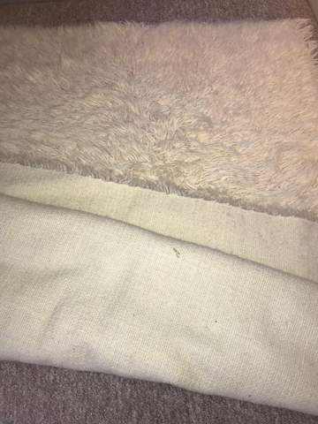 Ist Das Ein Wollteppich Teppich Wolle Motten