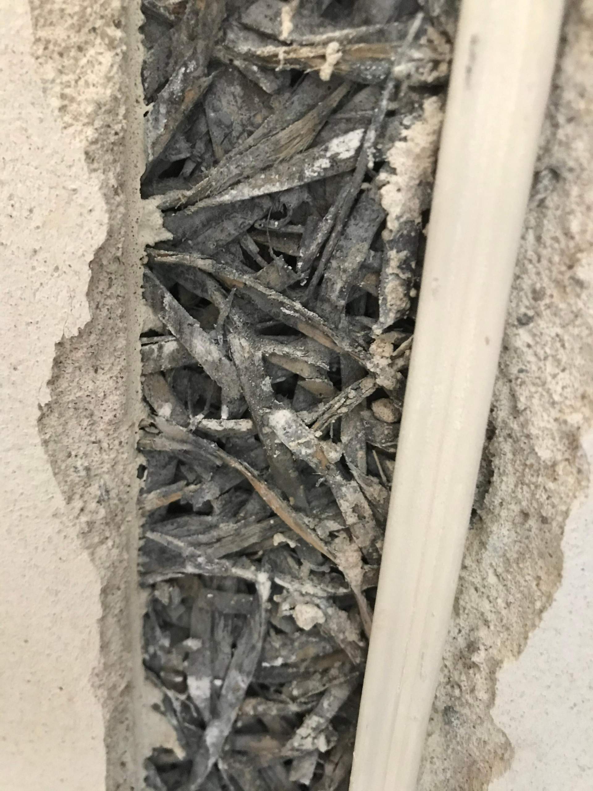 Disney zitate freundschaft deutsch Ist das eine Asbest Dämmung? (Wand, Gefahrstoffe)