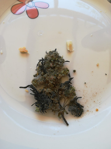 - (Spanien, Cannabis)