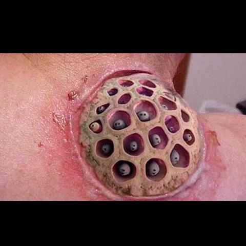 Ich habe noch nie fragen Ich habe noch nie fragen