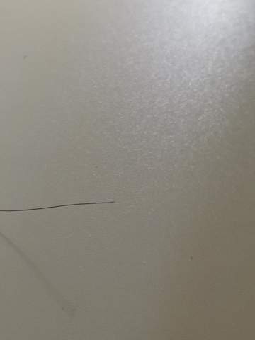 haarzwiebel haare haarwachstum