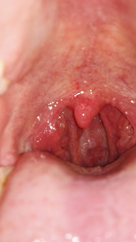 Wie schnell ist mein internet Wie schnell ist mein internet