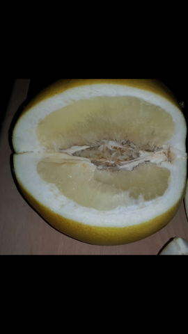 .. - (Obst, melone)