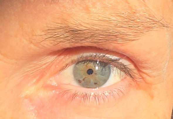 Bild zum Beitrag