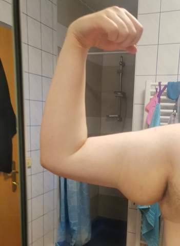 Bild zum Beitrag
