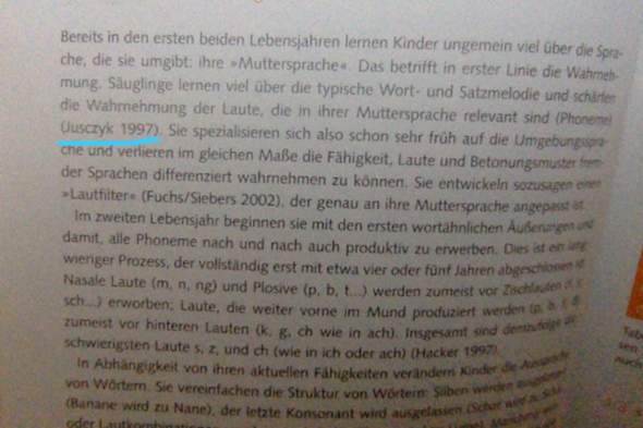 Bild zum Beitrag