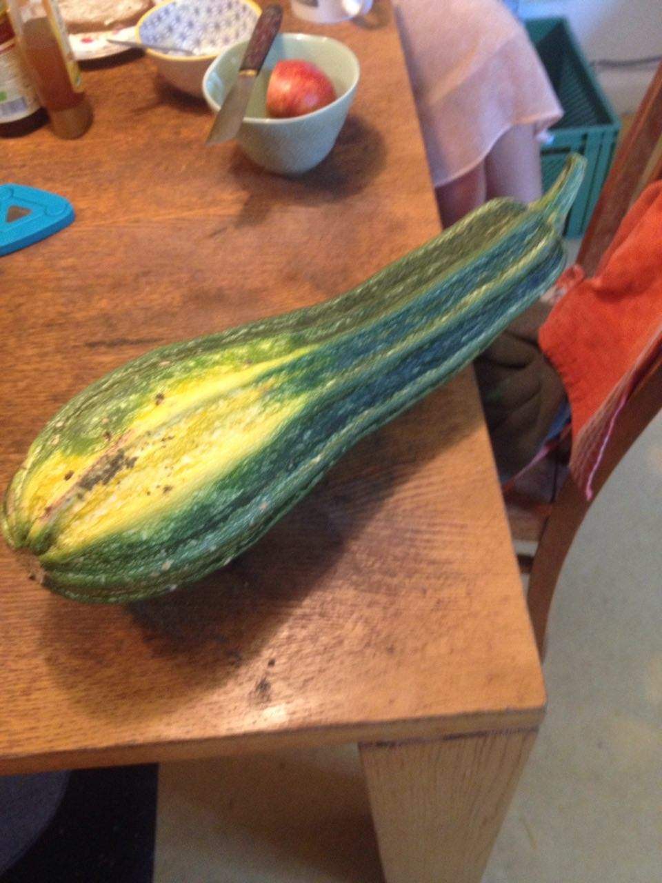 Ist das eine Zucchini oder ein Kürbis(essbar / nicht essbar)? (essen