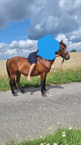 Bild zum Beitrag