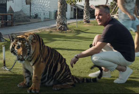 Ist das grenzwertig (angelehnt an Tierquälerei) was Prinz Markus mit seinem Tiger tut (kurze Kette)?