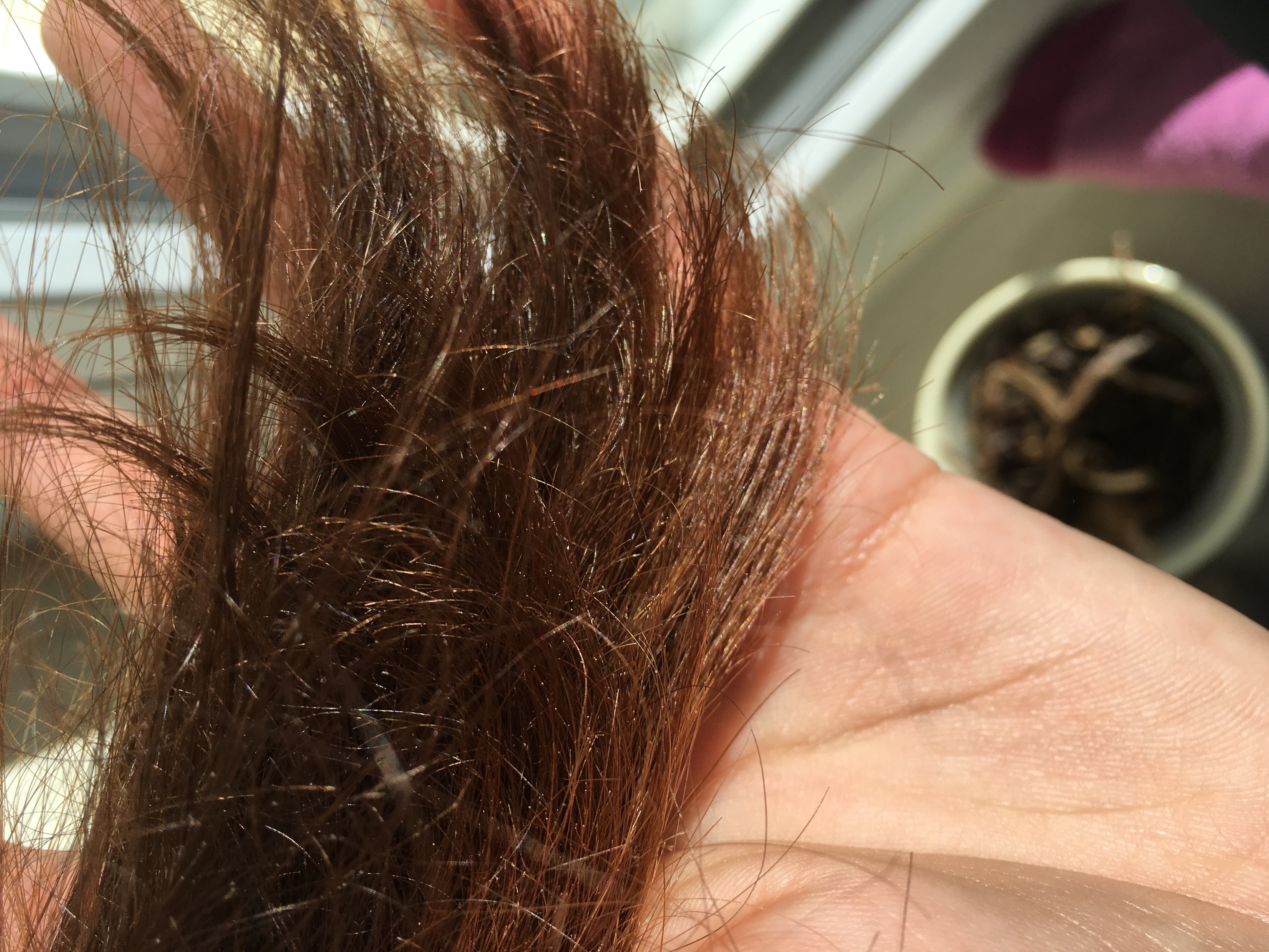 Ist das Haarspliss? (Weiße Punkte)? (Gesundheit, Haare, Spliss)