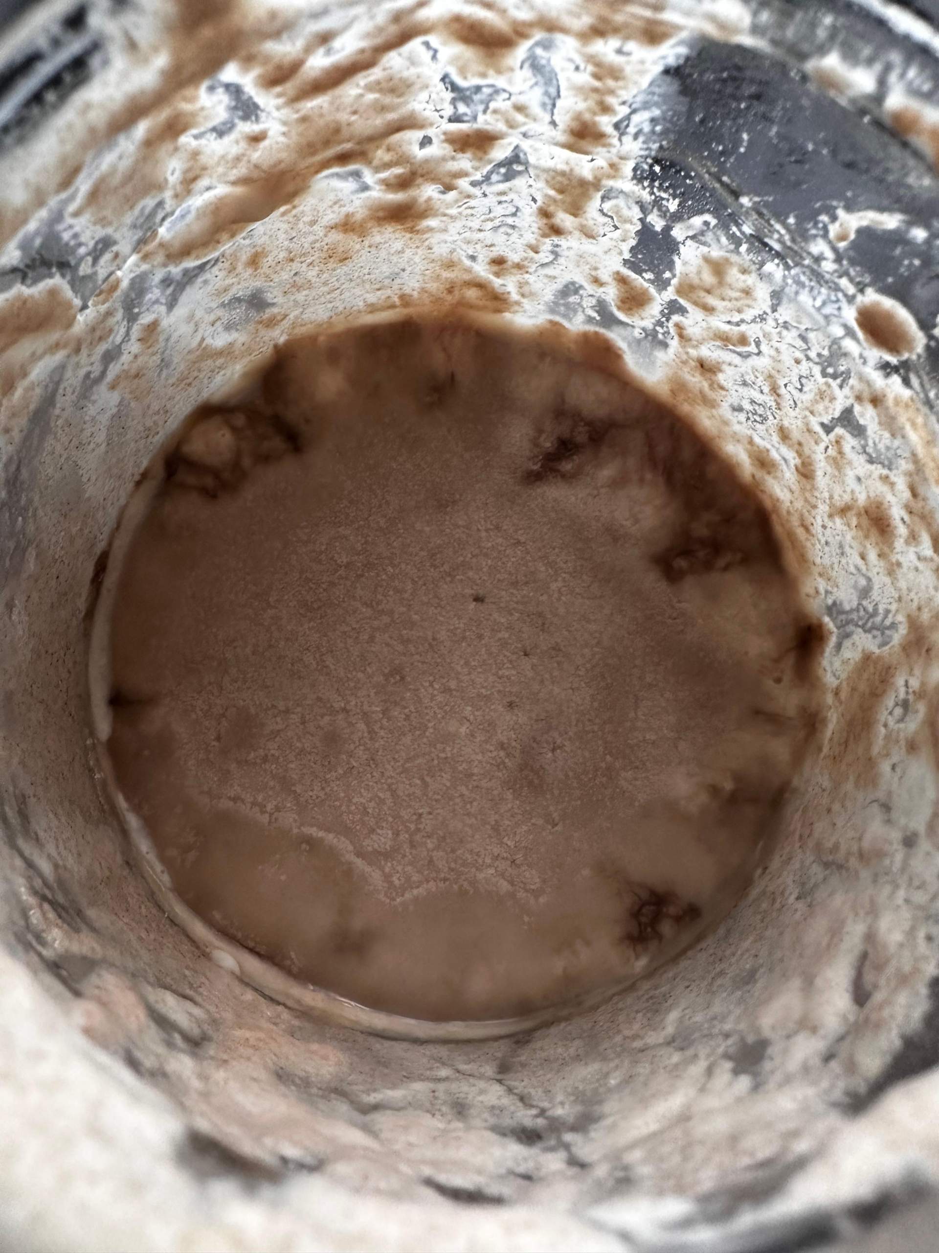 Ist das hier Schimmel? (Brot, Sauerteig)