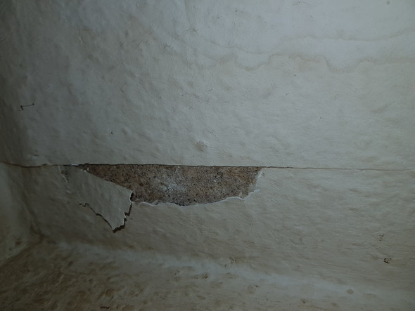 ist das hinter der tapete schimmel bild wohnung