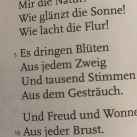Und das - (Schule, Deutsch, Goethe)