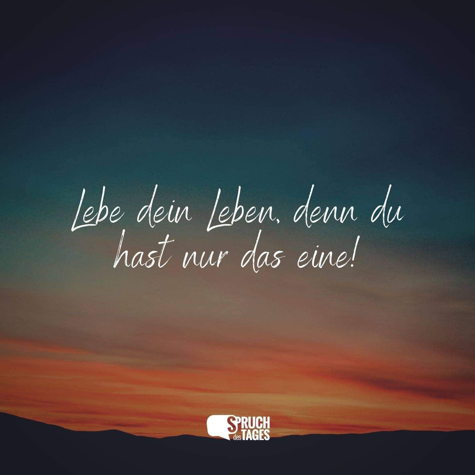 Ist Das Leben Ein Abenteuer Oder Eine Qual Schule Liebe Und