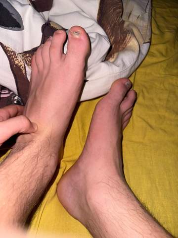 Bild zum Beitrag