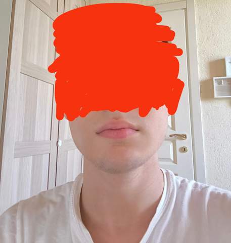 Bild zum Beitrag