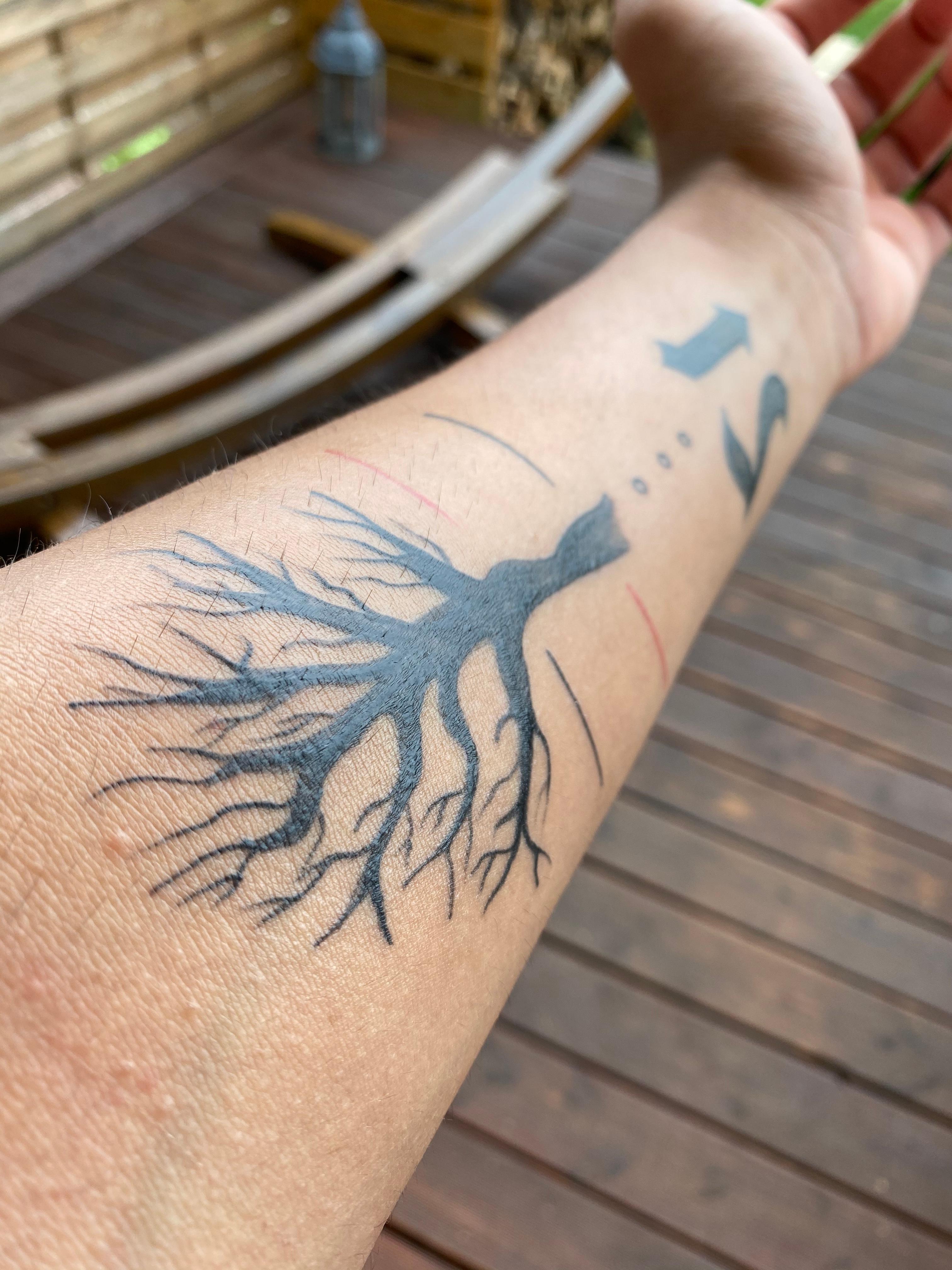 Ist das normal nach 2 Wochen eines neuen Tattoo? (Hautpflege, Heilung
