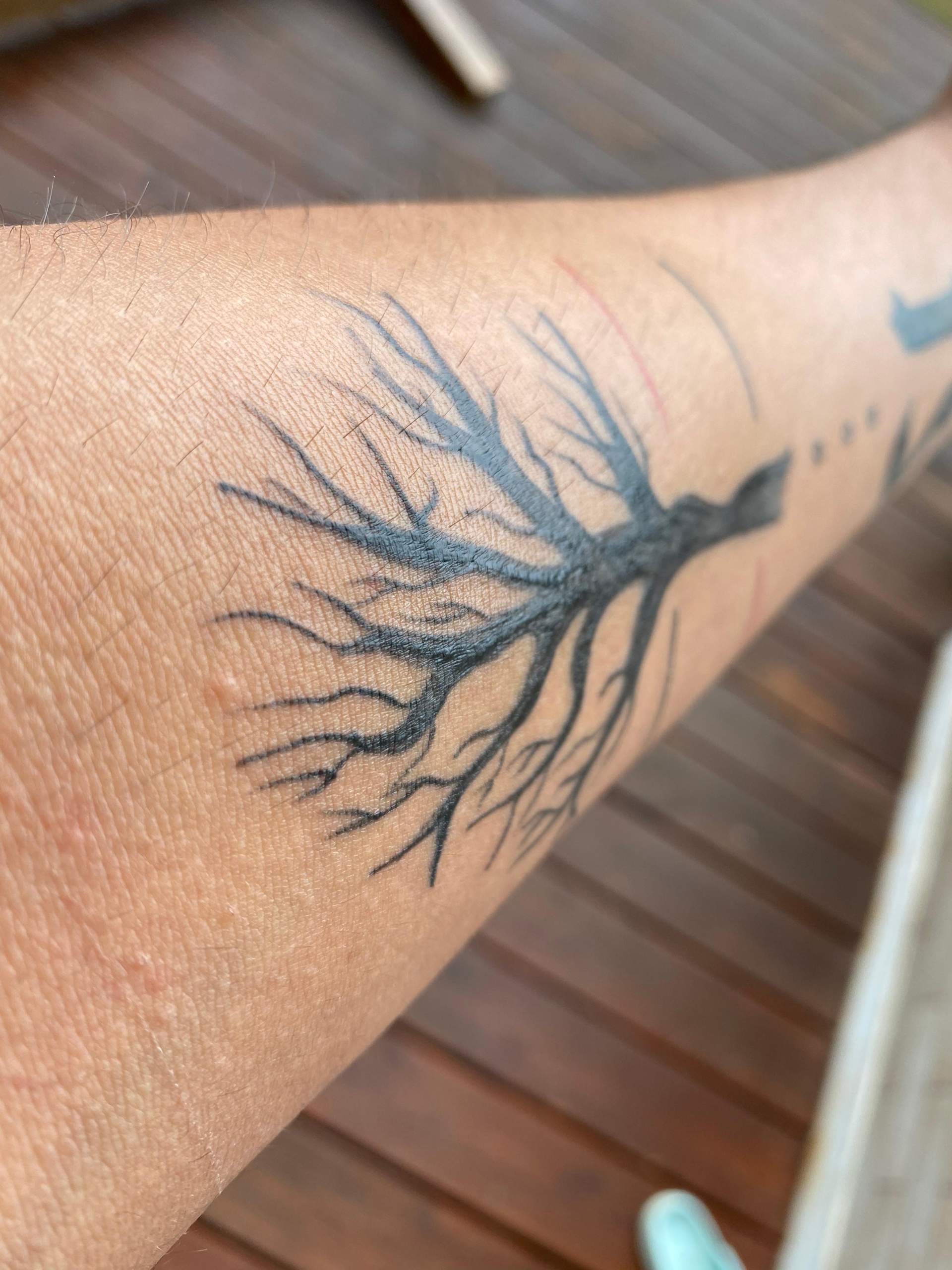 Ist das normal nach 2 Wochen eines neuen Tattoo? (Hautpflege, Heilung
