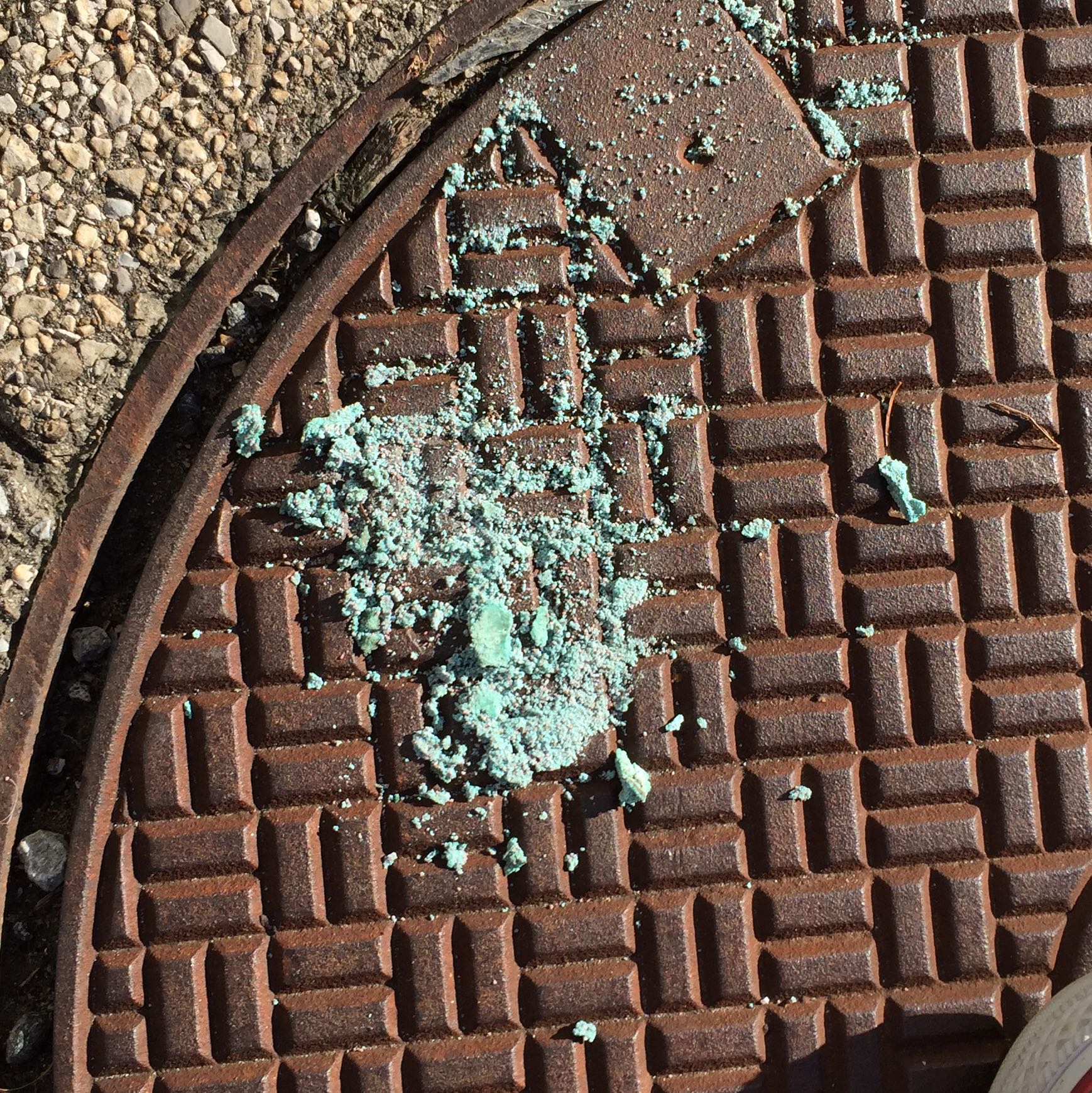 Ist das Rattengift? (Tiere, Hund, Tierarzt) Ist das Rattengift? (Tiere, Hund, Tierarzt)