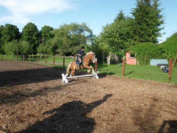 Ist Das Reiten Auf Einem Unprofessionellen Hof Richtiges Reiten Pferde Reiterhof Pferdehaltung