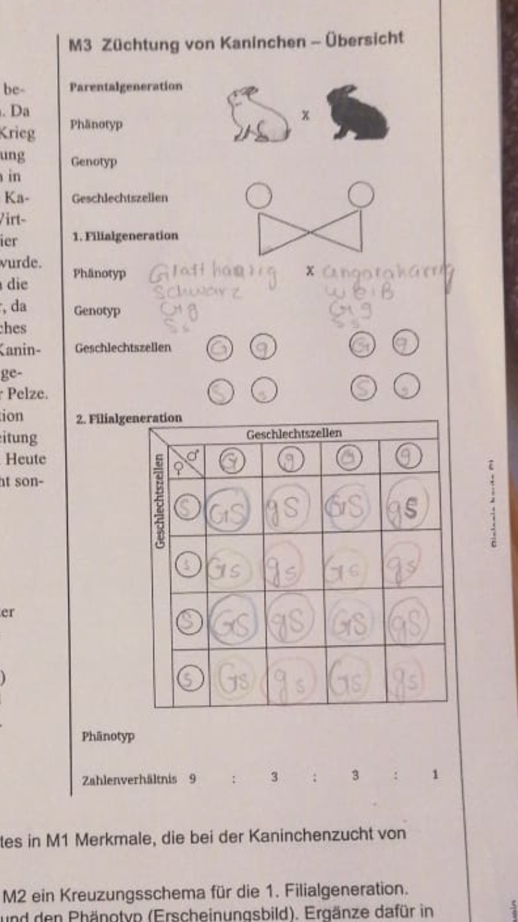 Ist Das Richtig Bio Schule Ern hrung Chemie ist-das-richtig-bio-schule-ern-hrung-chemie