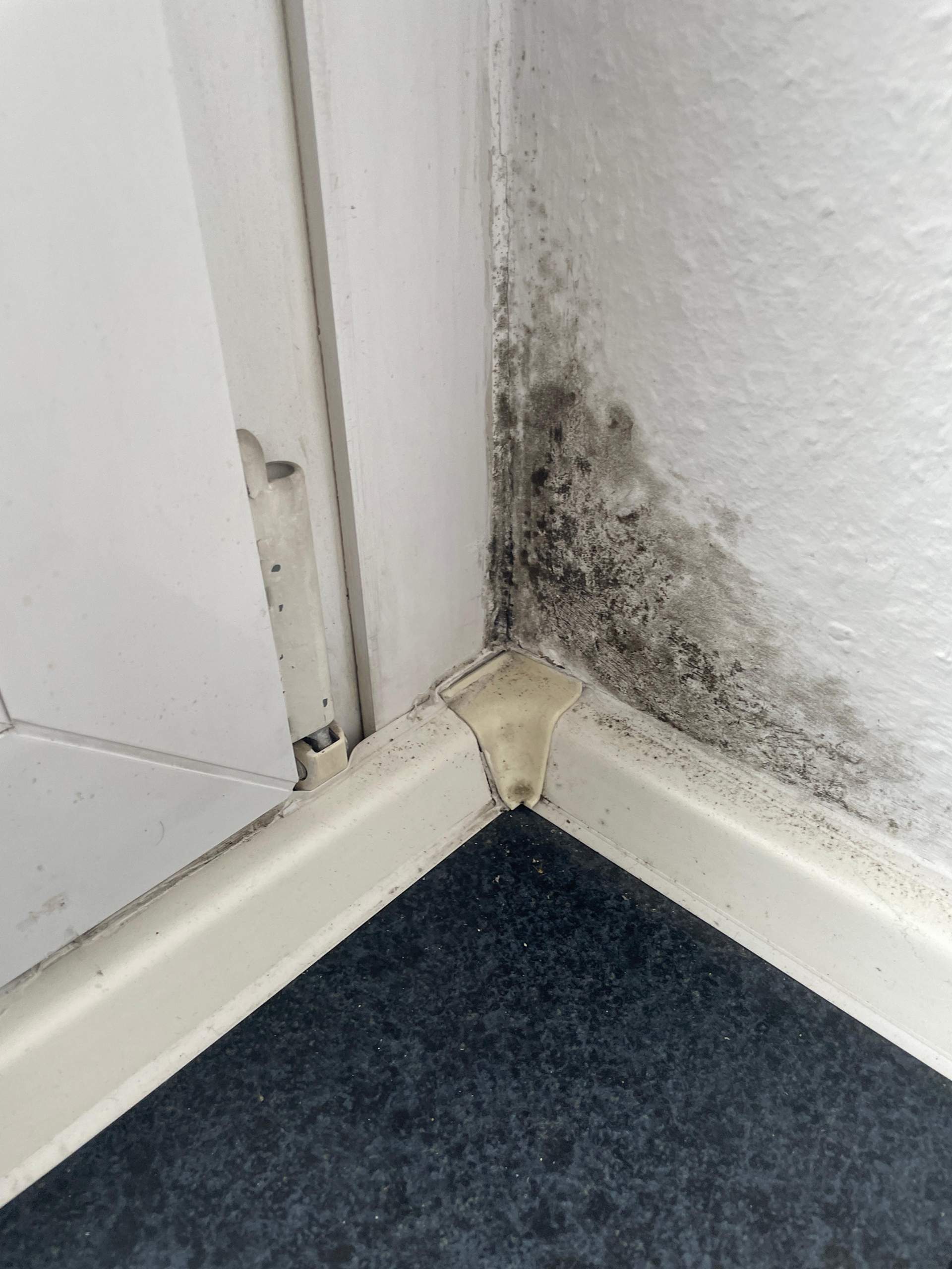 Zahlt Haftpflicht Schimmel Mietwohnung