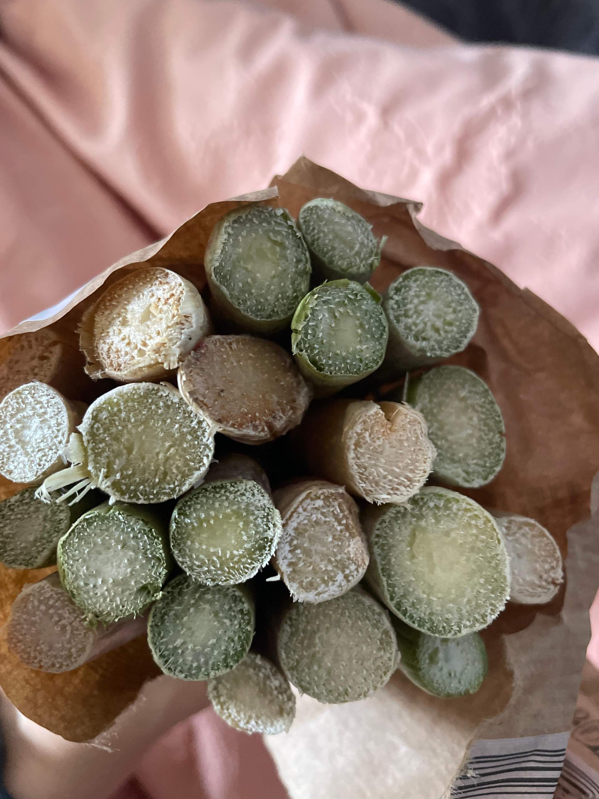 Ist das Schimmel am Spargel oder sind das Fasern? (Gemüse, Haltbarkeit)