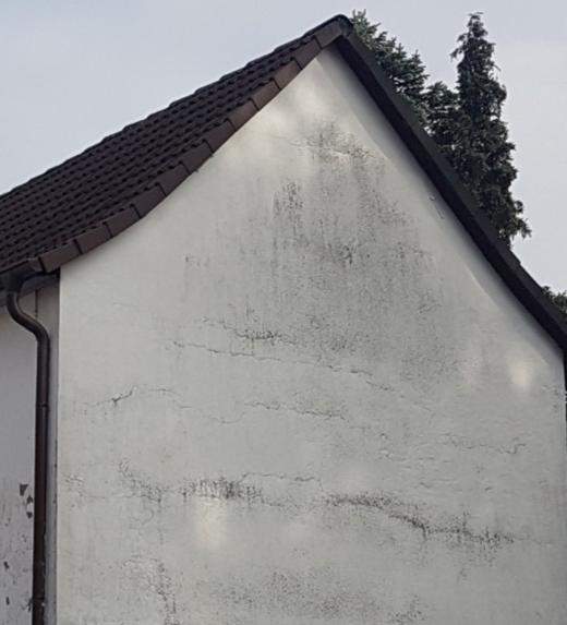 Ist das Schimmel an der Außenwand? (Schimmelpilz)