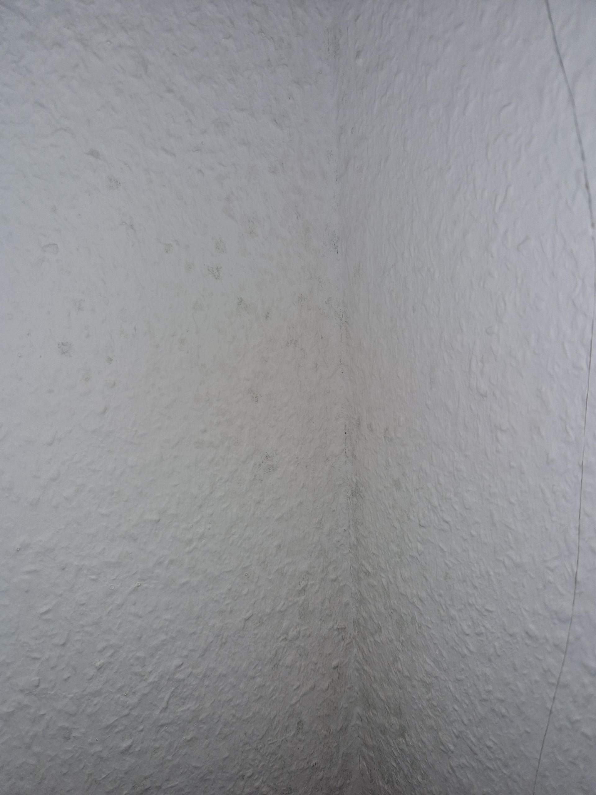 Ist das Schimmel an der Tapete? (Gesundheit, Wohnung)
