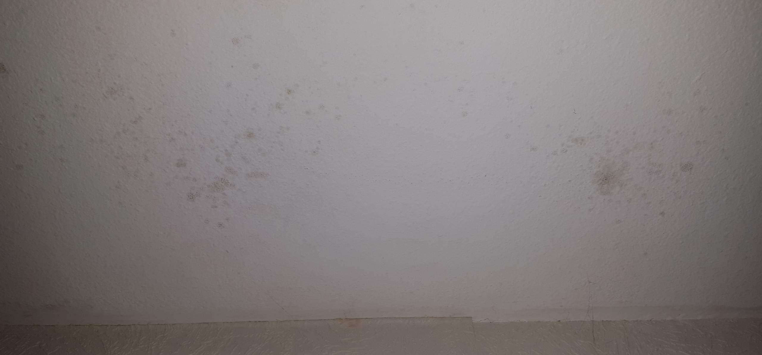 Ist das Schimmel an meiner Decke? (Gesundheit, Wohnung, Pilze)