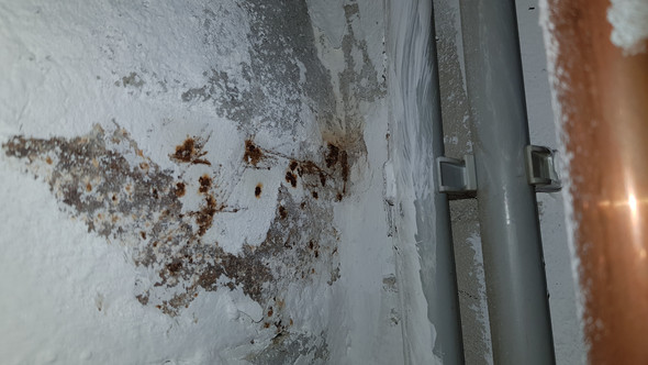 Ist Das Schimmel An Meiner Kemmerwand Wand Rost Nasse Wande