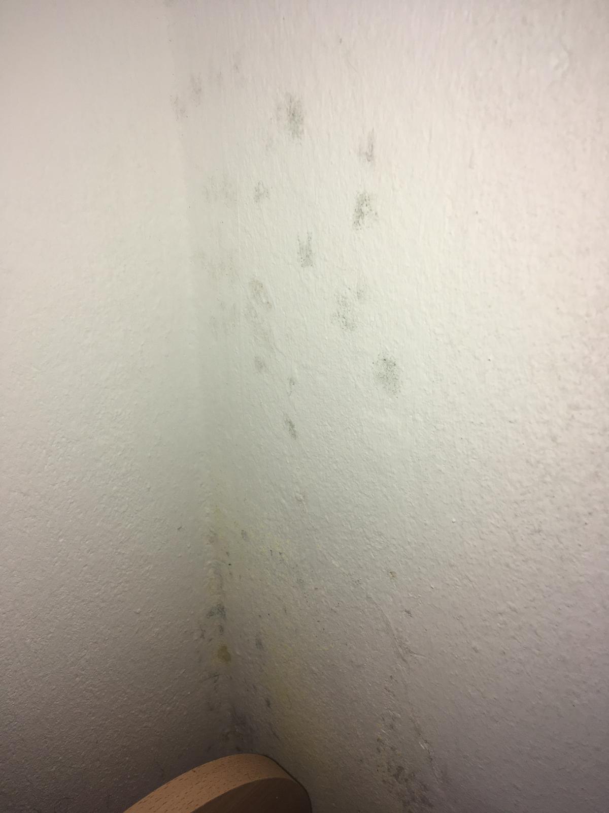Ist das Schimmel an meiner Wand oder was anderes? (Wohnung)