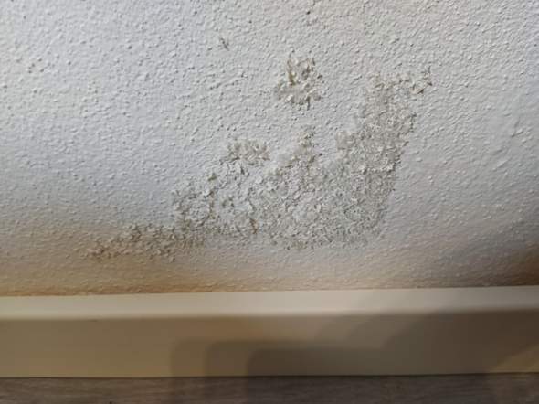 Ist Das Schimmel Auf Dem Bild Keller