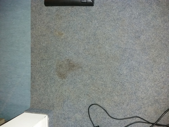 Ist Das Schimmel Auf Dem Teppich Gesundheit Menschen Deutschland Ist Das Schimmel Auf Dem Teppich Gesundheit Menschen Deutschland