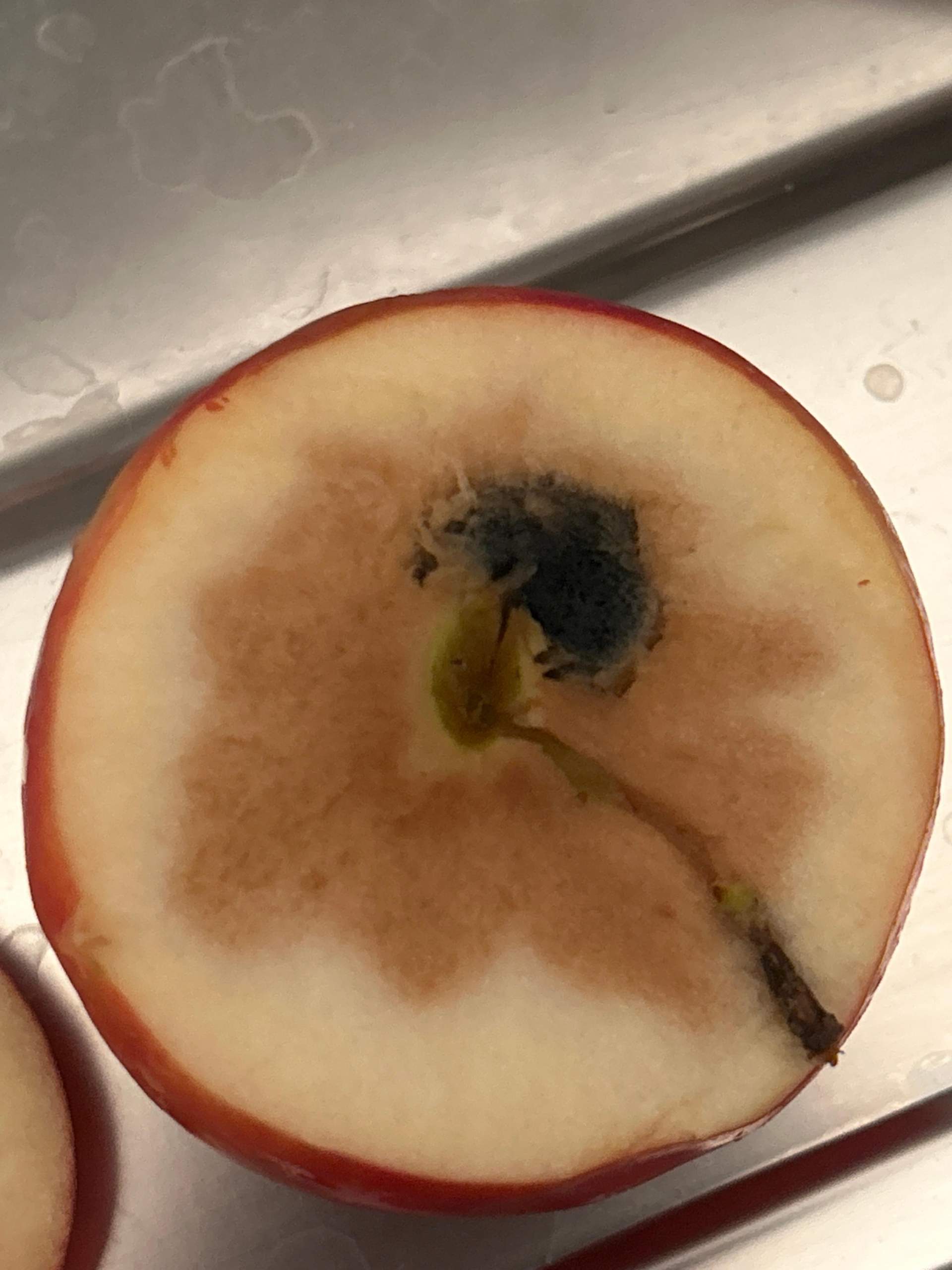 Ist das Schimmel beim Apfel? (Obst)