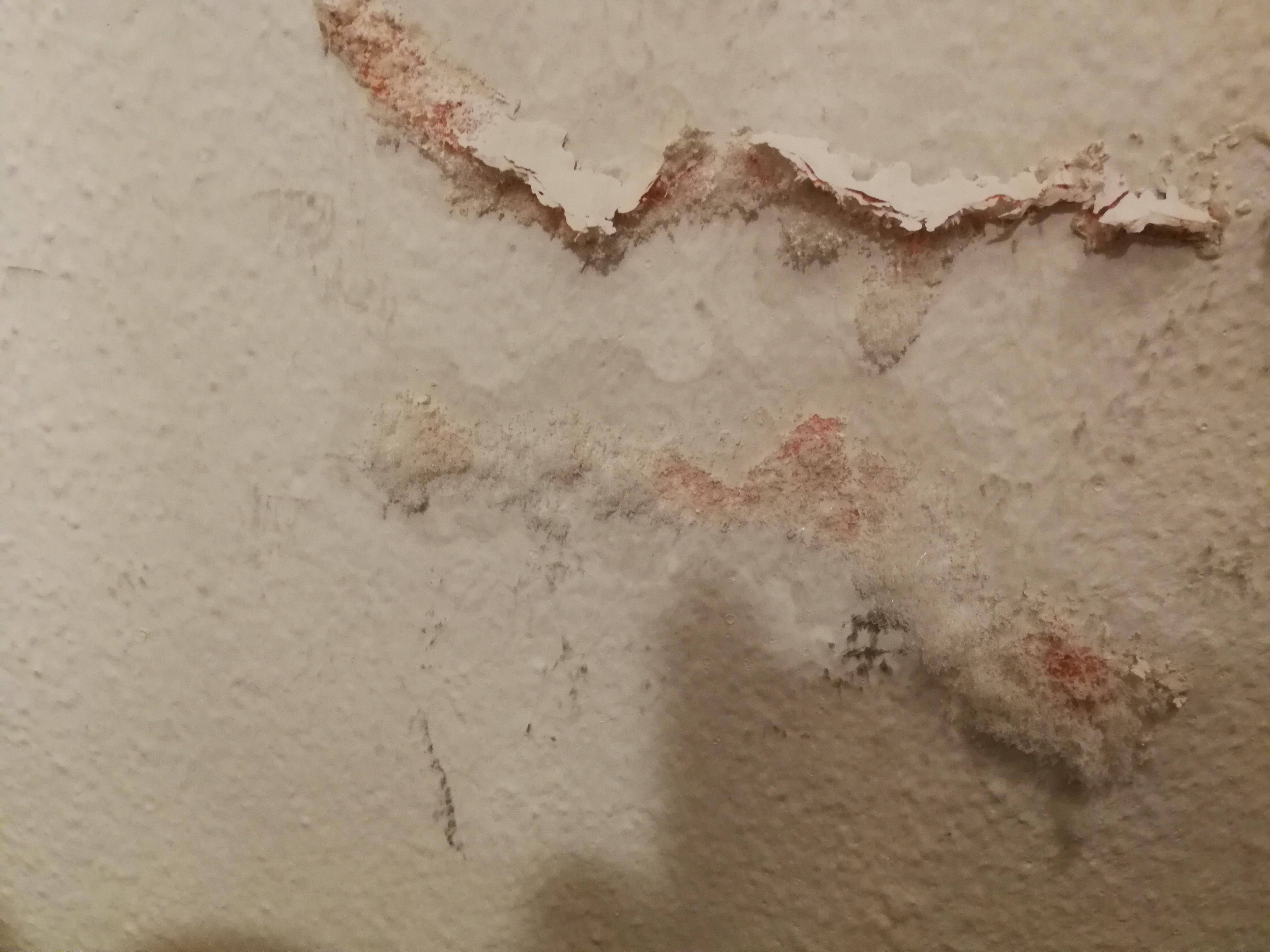 Ist das Schimmel durch einen Wasserschaden (siehe Foto)? (Wohnung, Wand, Schimmelbefall)