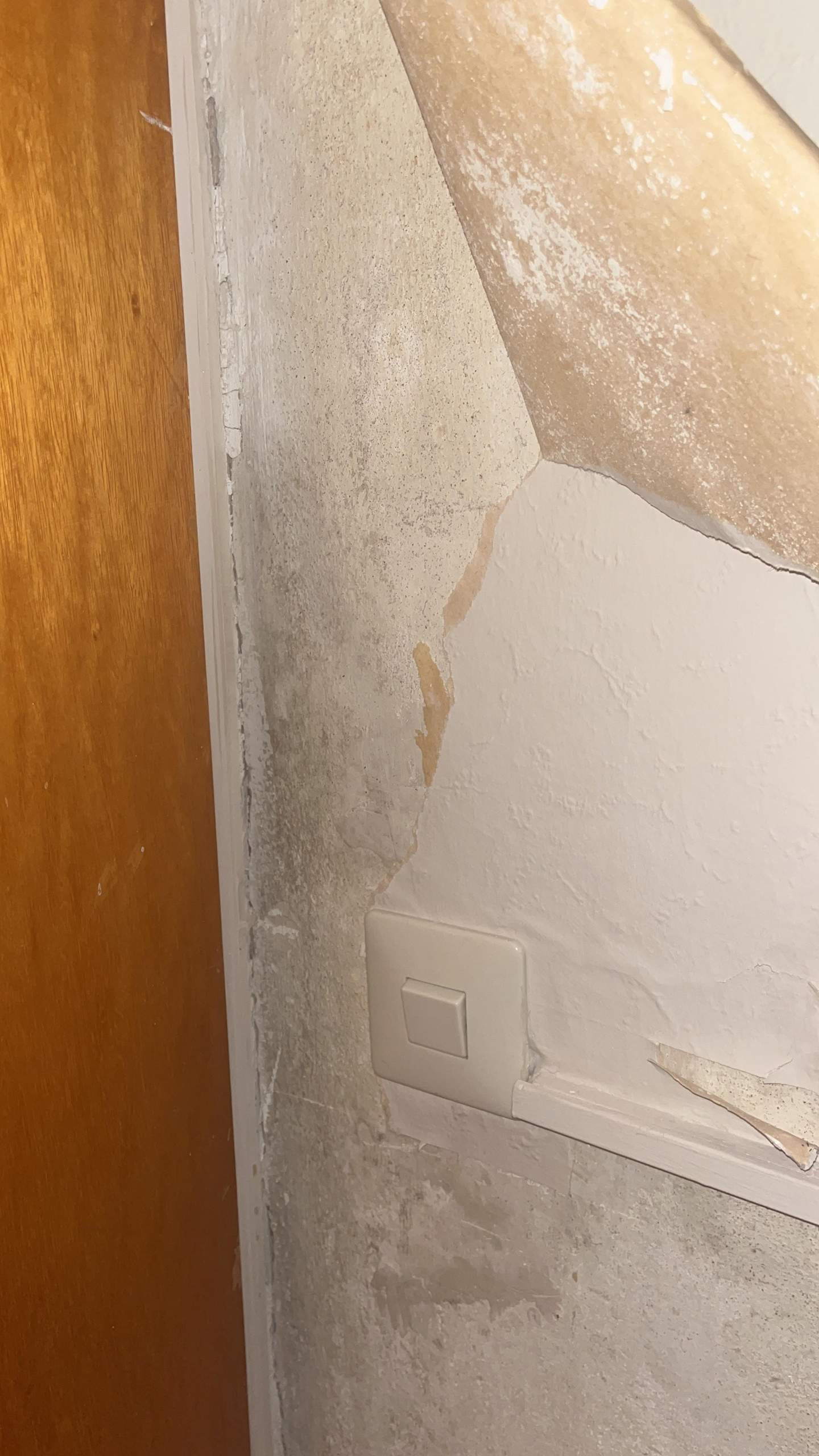 Ist das Schimmel hinter der Tapete (Wasserschaden im Keller)? (Wohnung, Miete, Vermieter)
