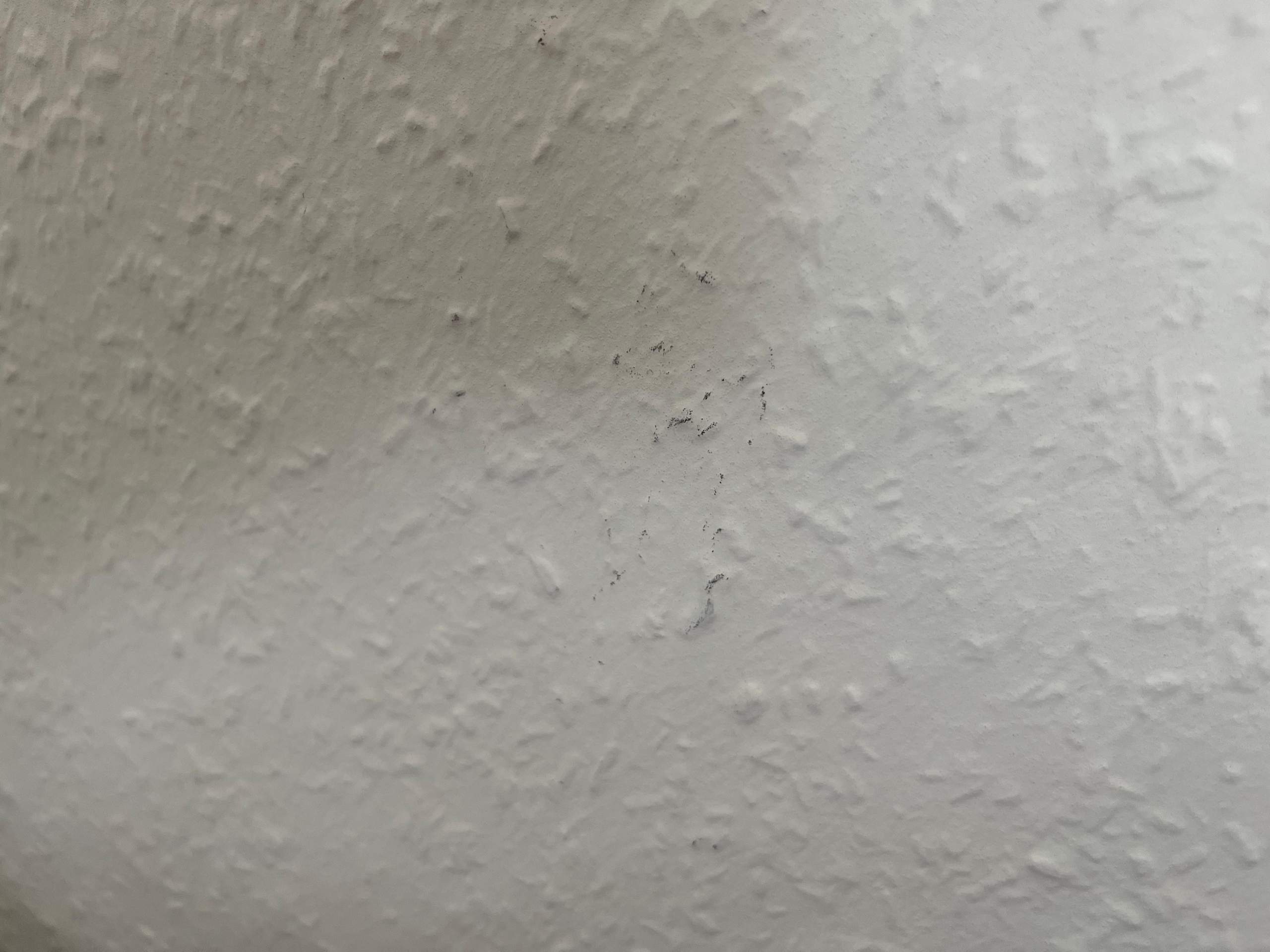 Ist das Schimmel im Anfangsstadium? (Tapete, Schimmelbefall)