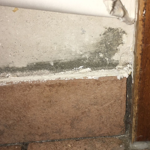 ist das schimmel oder dreck am putz schmutz