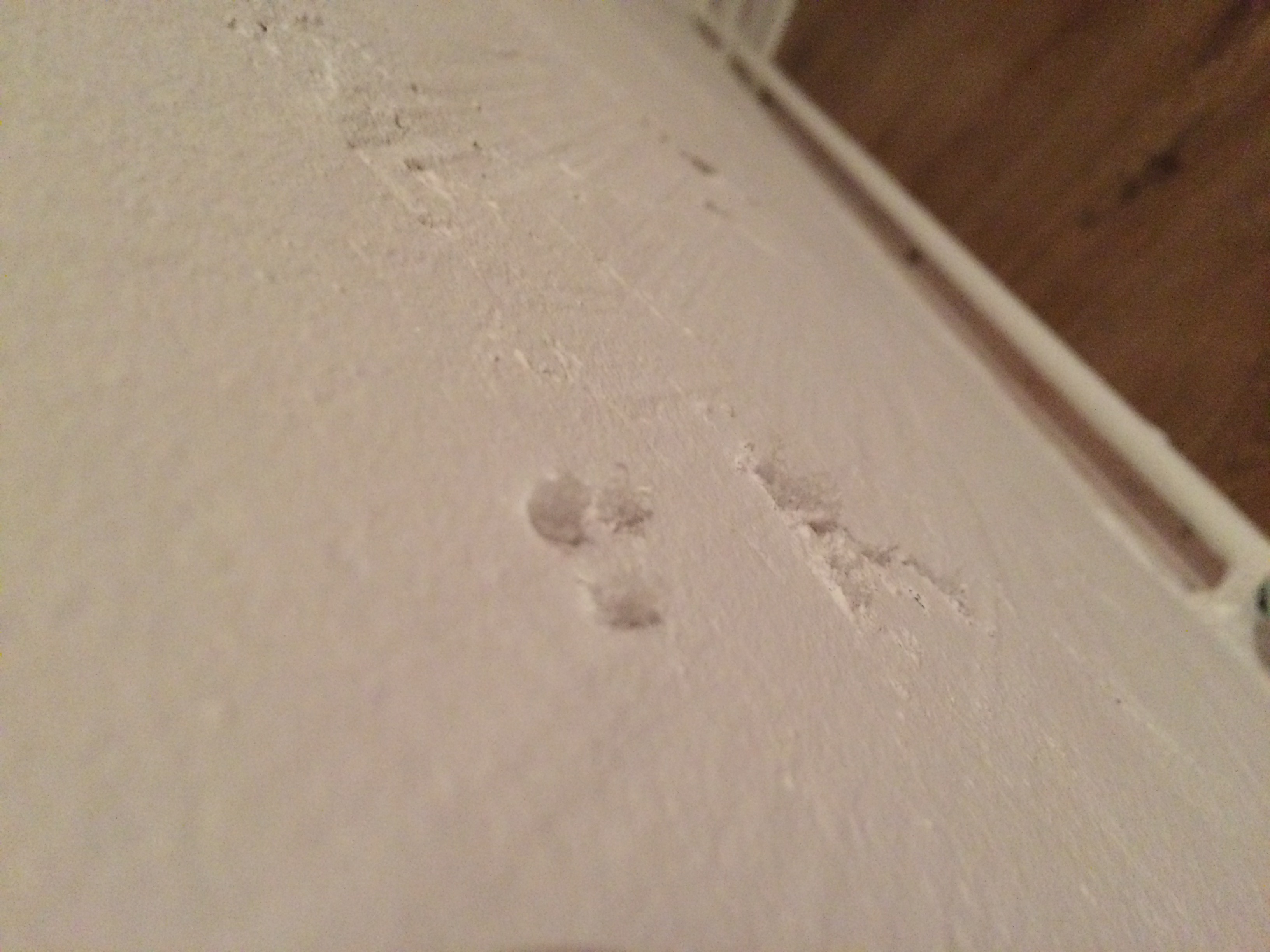 Ist Das Schimmel Oder Salpeter Mauerwerk