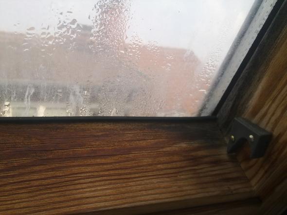 Das Fenster im Bad, mit Kondenswasser - (Wohnung, Mietrecht, Schimmel)
